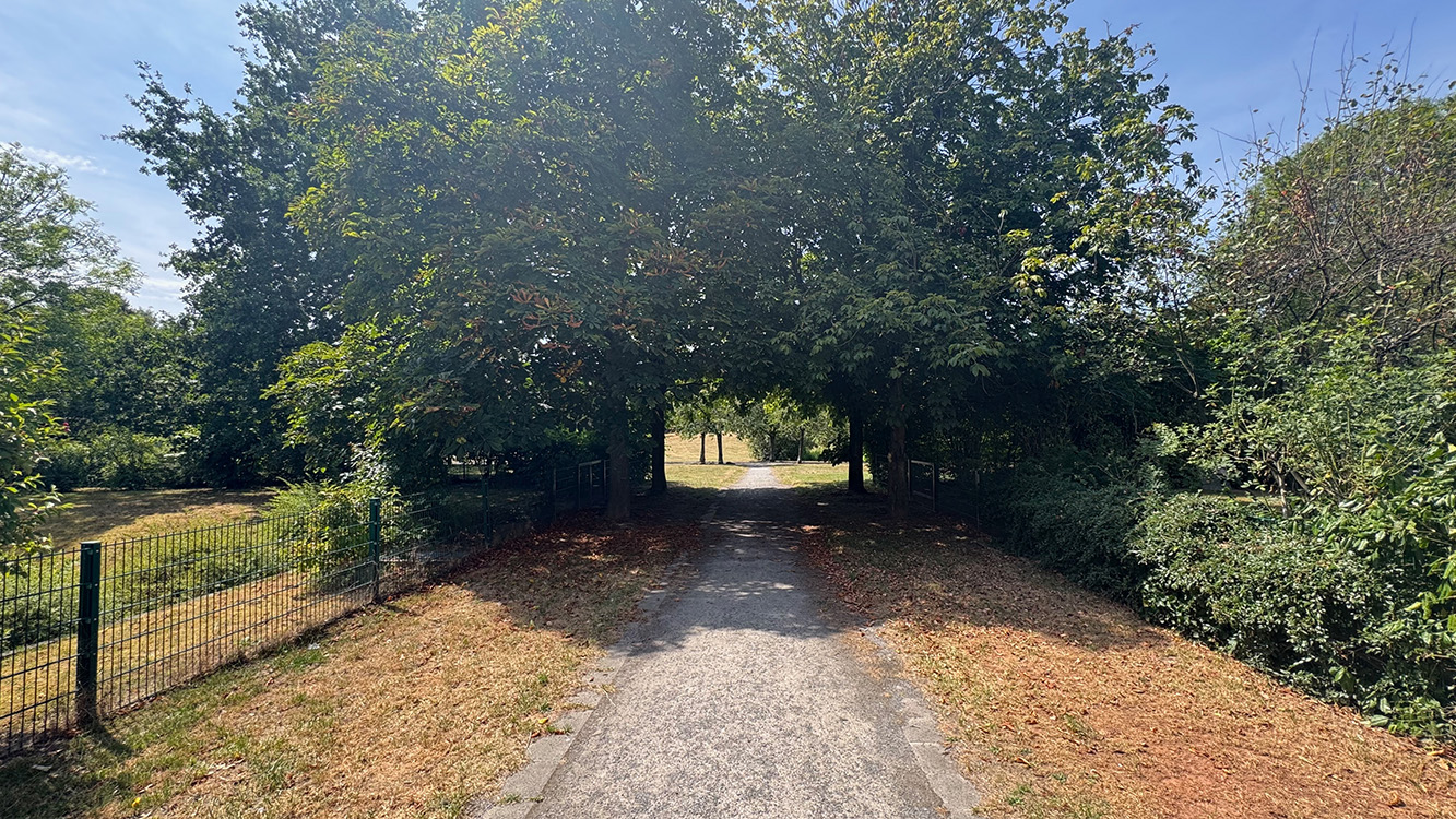 Blick in den Stadtpark